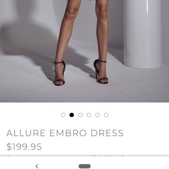 SHILLA THE LABEL Sheer Dress ~ NWT - Picture 7 of 7